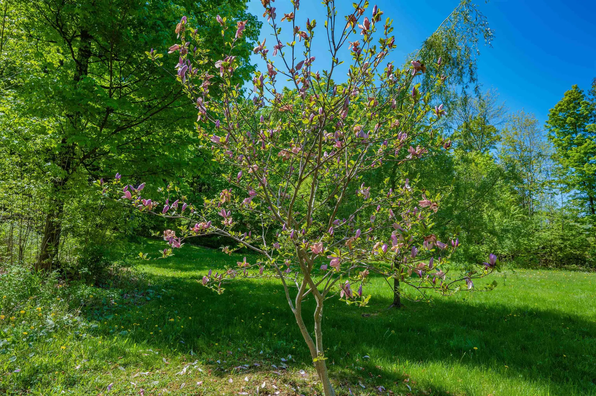 1333 Bullock Road Milton VT 05468