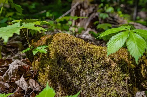 1333 Bullock Road Milton VT 05468