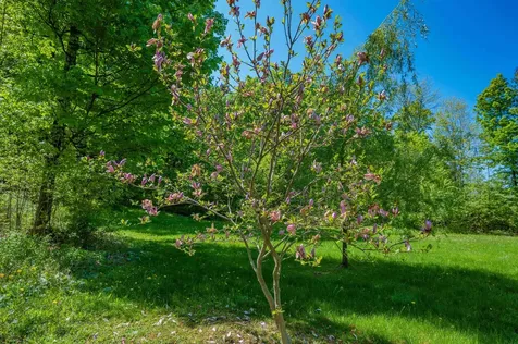 1333 Bullock Road Milton VT 05468