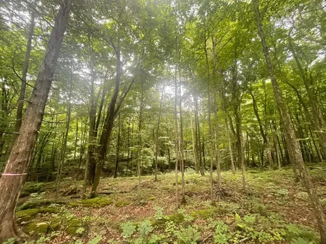 1333 Bullock Road Milton VT 05468