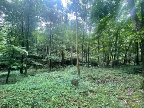 1333 Bullock Road Milton VT 05468