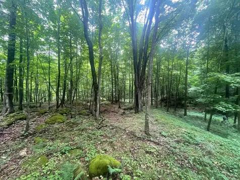 1333 Bullock Road Milton VT 05468