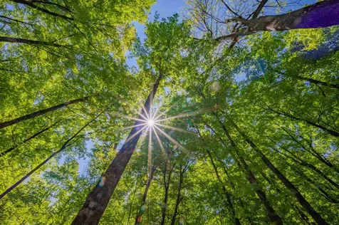 1333 Bullock Road Milton VT 05468