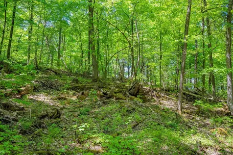 1333 Bullock Road Milton VT 05468