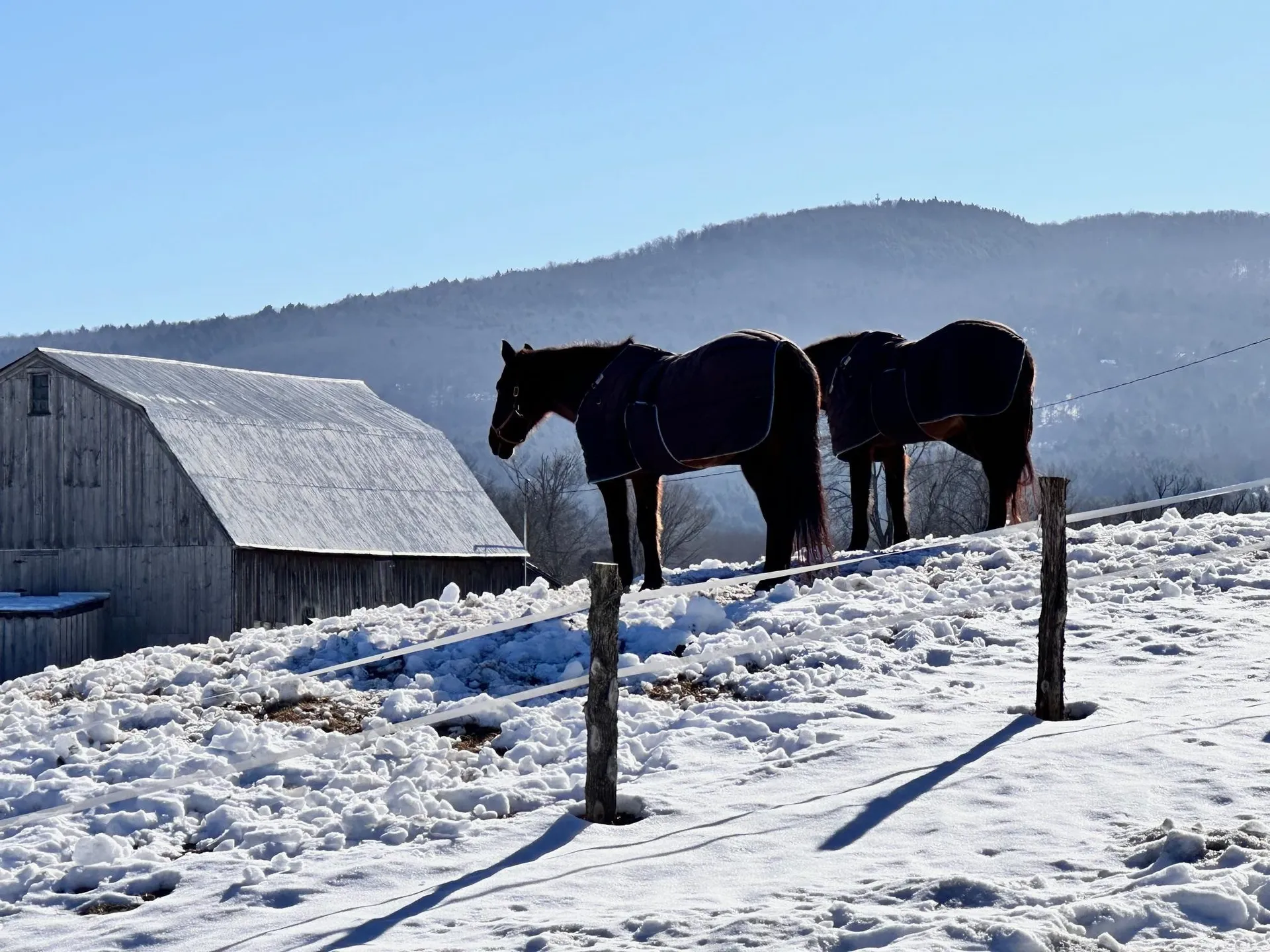 1362 River Road Duxbury VT 05676