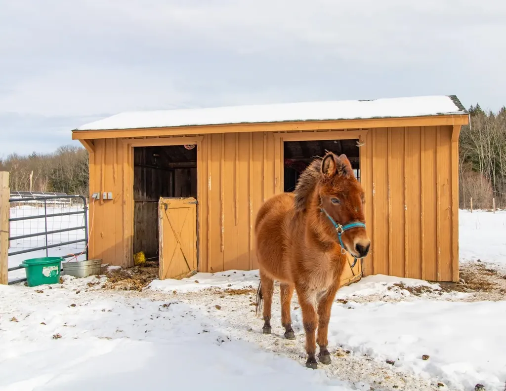 267 Hill Road Fairfield VT 05455