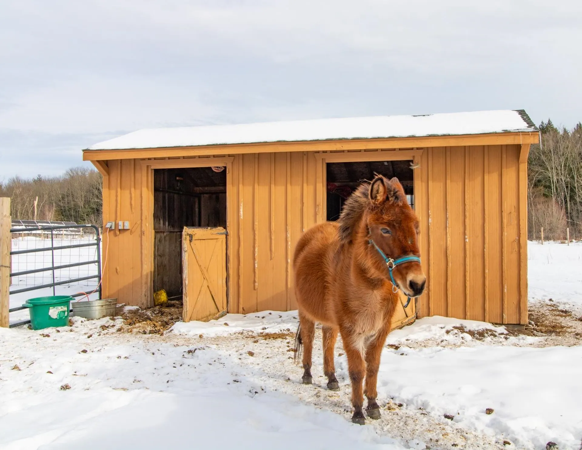267 Hill Road Fairfield VT 05455