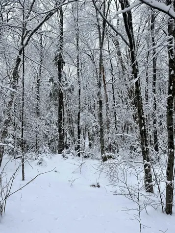 Map 213 Lot 36 Locke Lane Lempster NH 03605