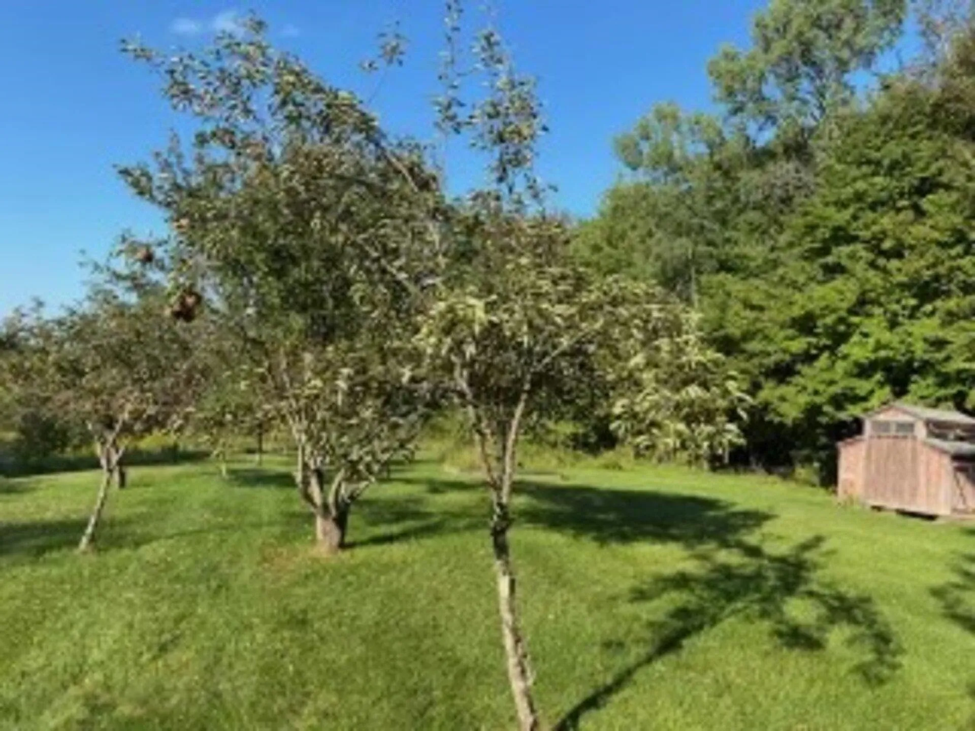 255 Upland Mowing Road Waterbury VT 05676