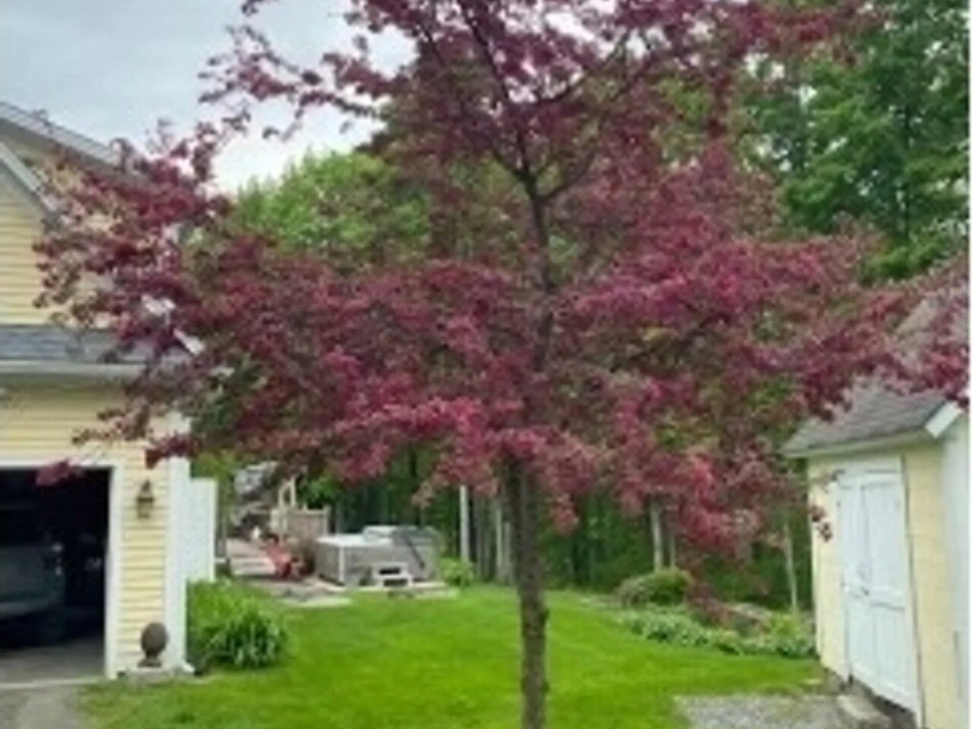 255 Upland Mowing Road Waterbury VT 05676