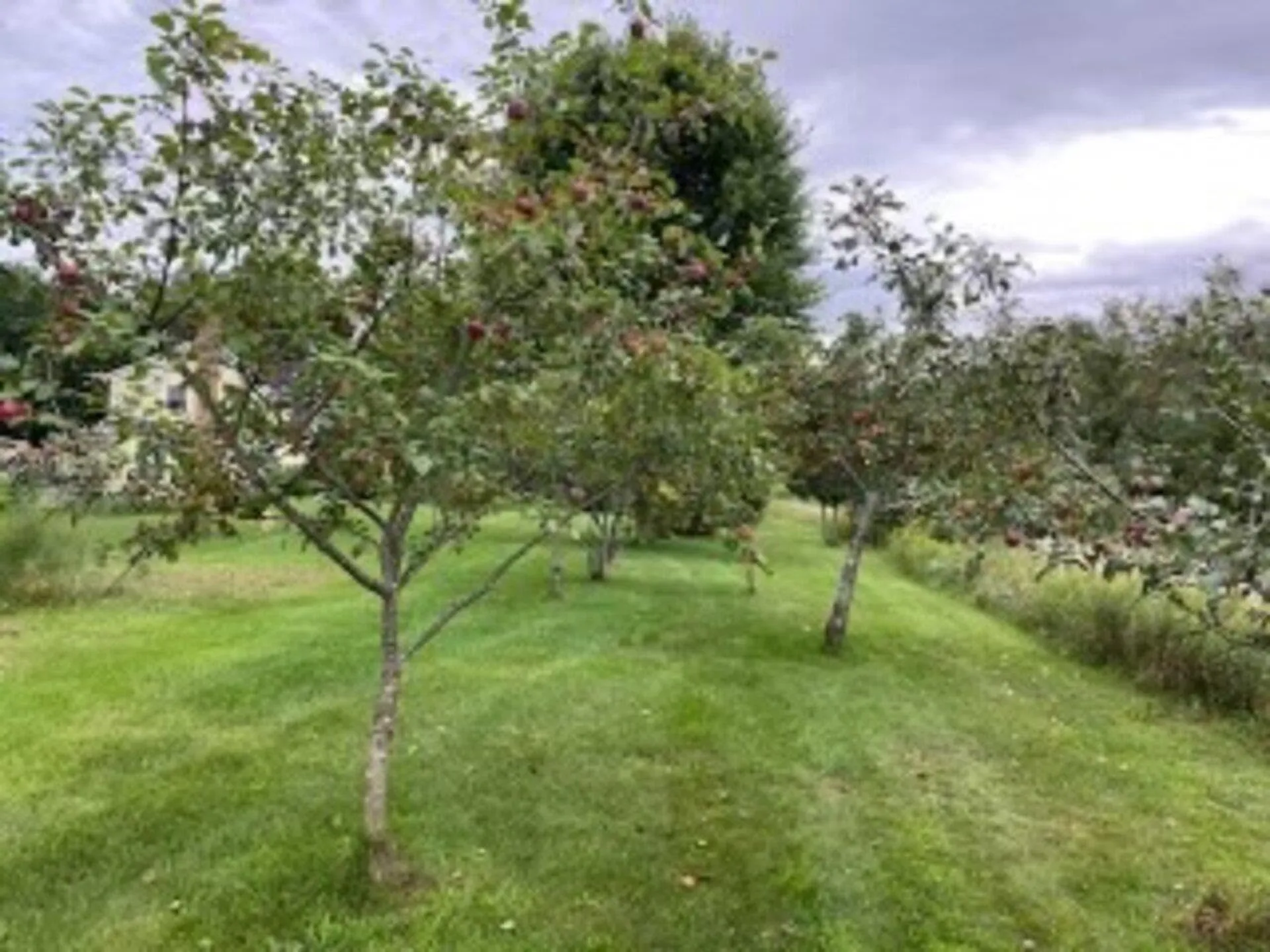 255 Upland Mowing Road Waterbury VT 05676