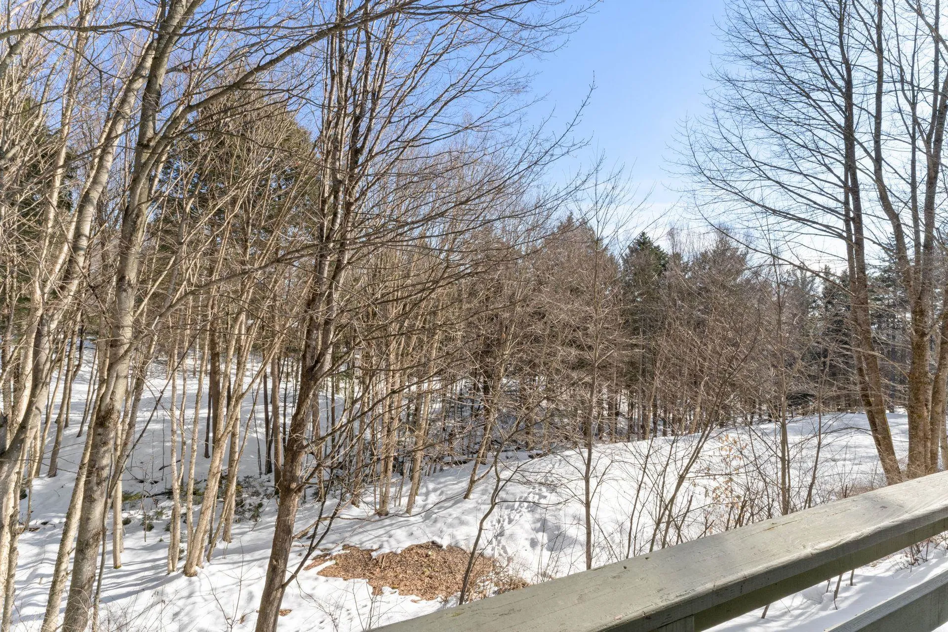 233 Fox Hill Road Stowe VT 05672