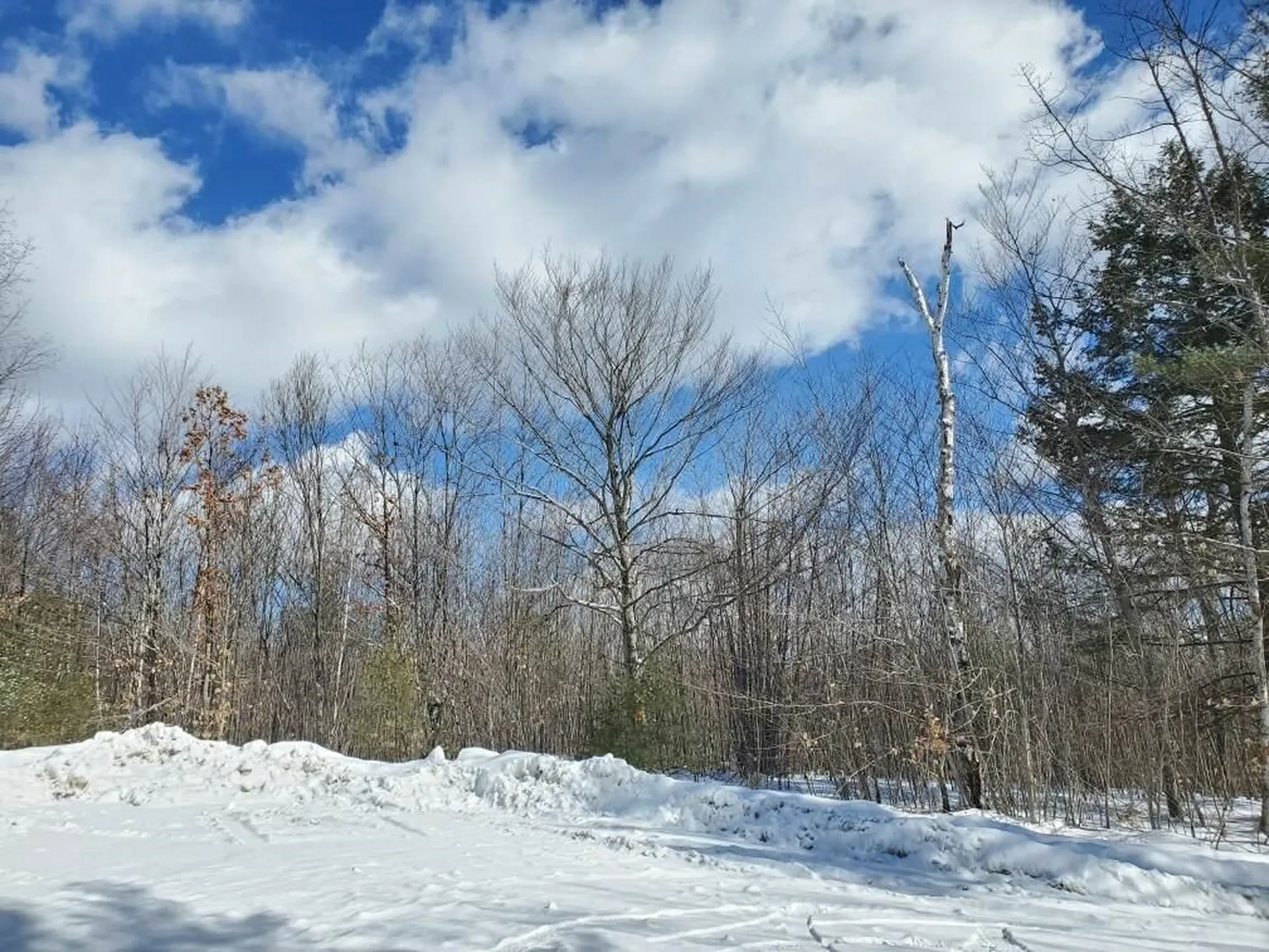 13b Scribner Hill Extension Wakefield NH 03830