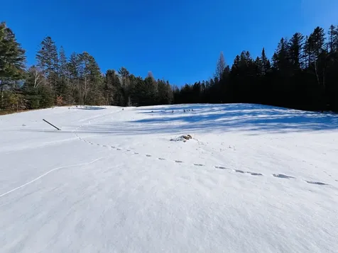 1602 Vt Route 114 Burke VT 05832