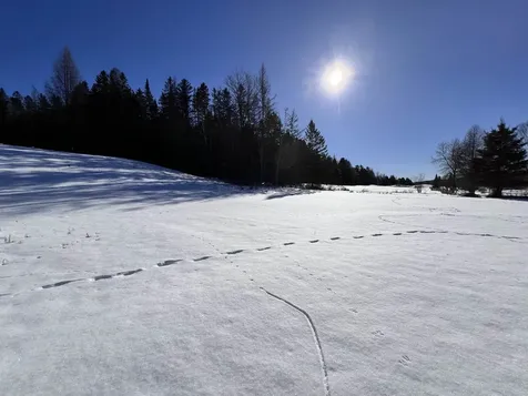 1602 Vt Route 114 Burke VT 05832