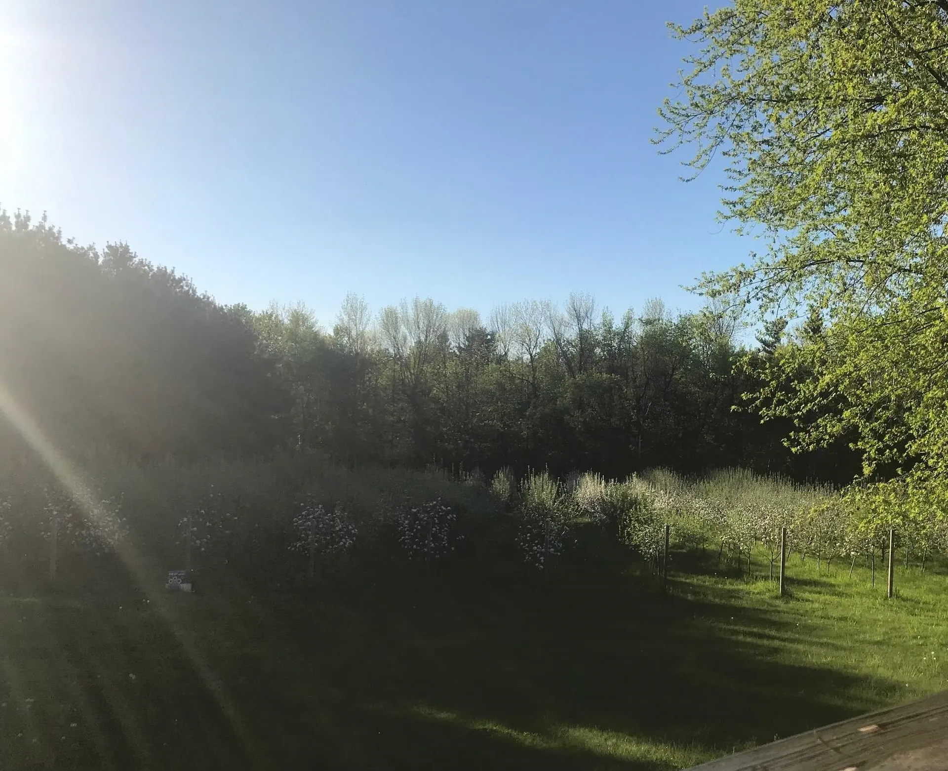 5775 Georgia Shore Road Georgia VT 05478