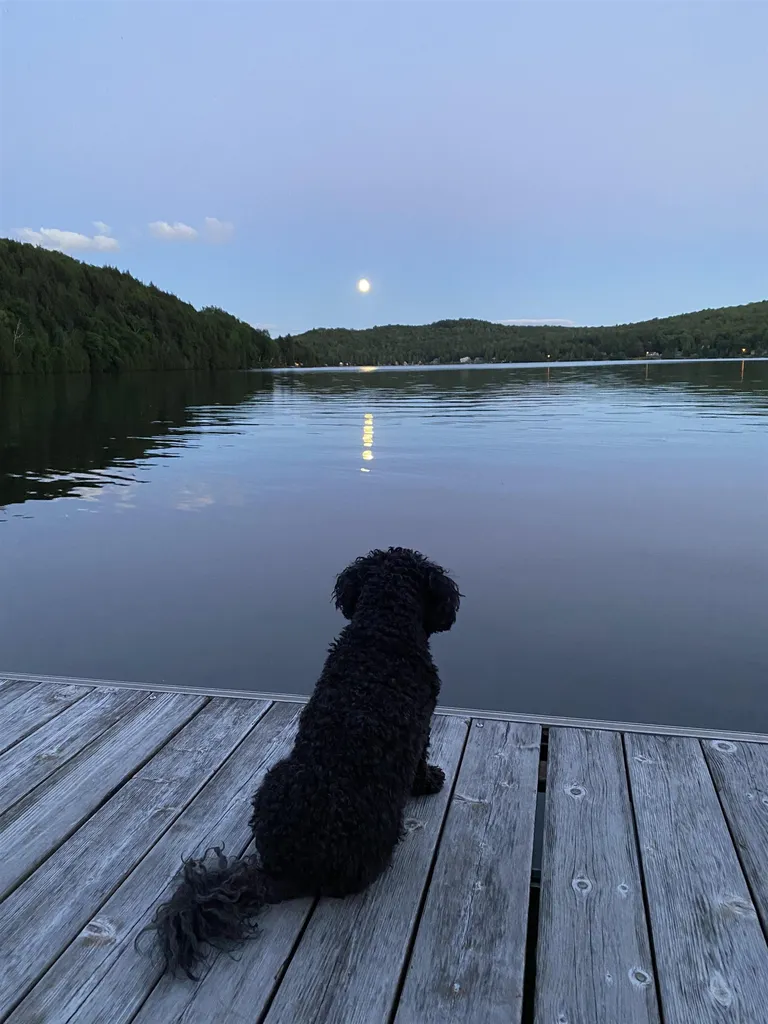 69 Danforth Road Glover VT 05839