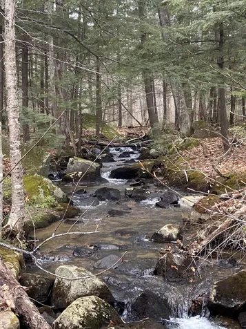 41 Ledgewood Circle Hebron NH 03241