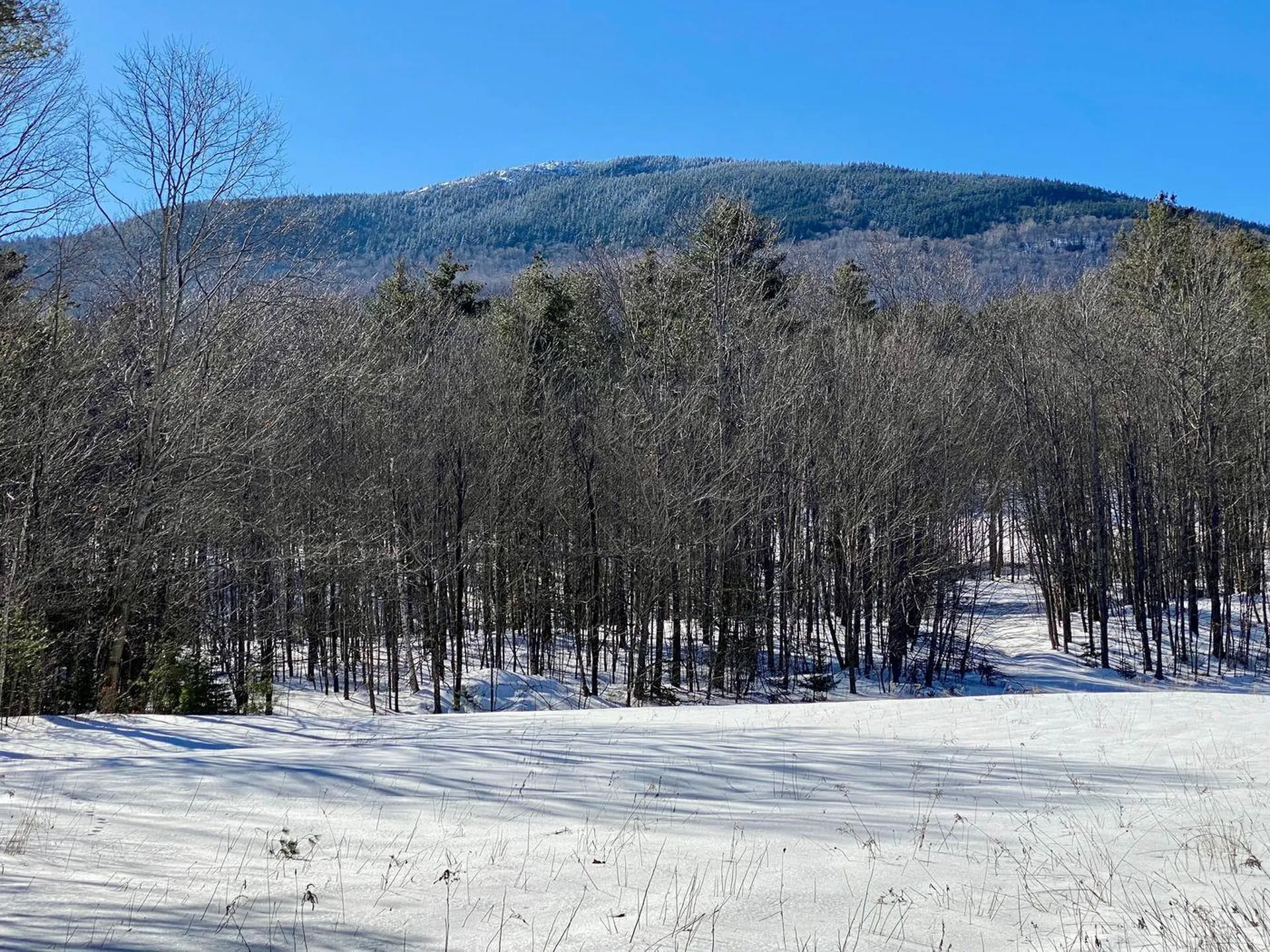 Route 25a Orford NH 03777