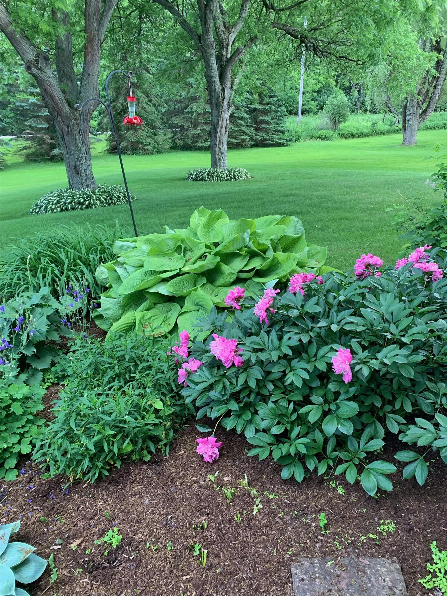 1860 Fairfax Road St. Albans Town VT 05478