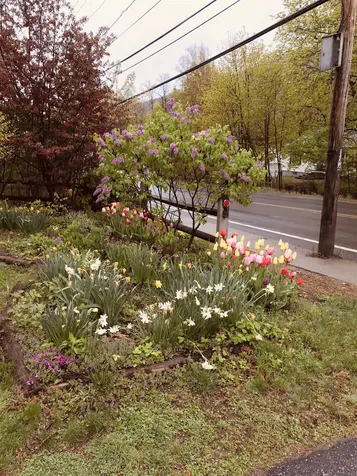 322 Putney Road Brattleboro VT 05301