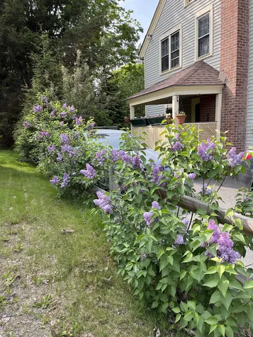 322 Putney Road Brattleboro VT 05301