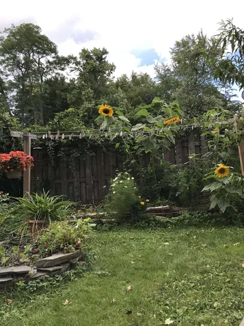 322 Putney Road Brattleboro VT 05301