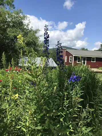 42 Cobb Road Andover VT 05143