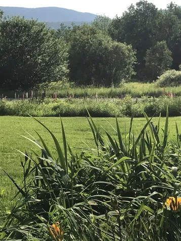 42 Cobb Road Andover VT 05143