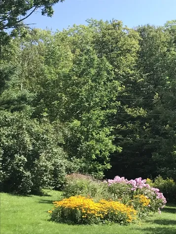 42 Cobb Road Andover VT 05143