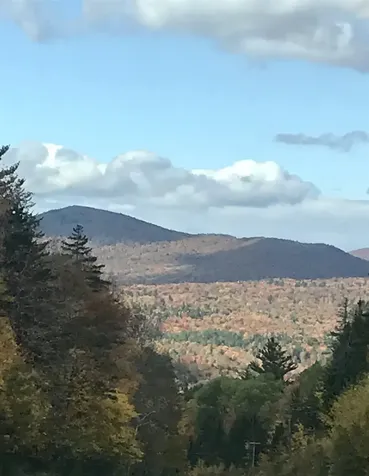 42 Cobb Road Andover VT 05143