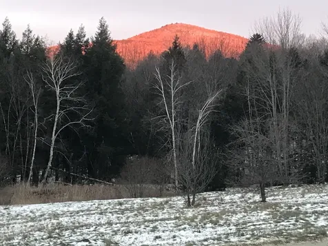 42 Cobb Road Andover VT 05143