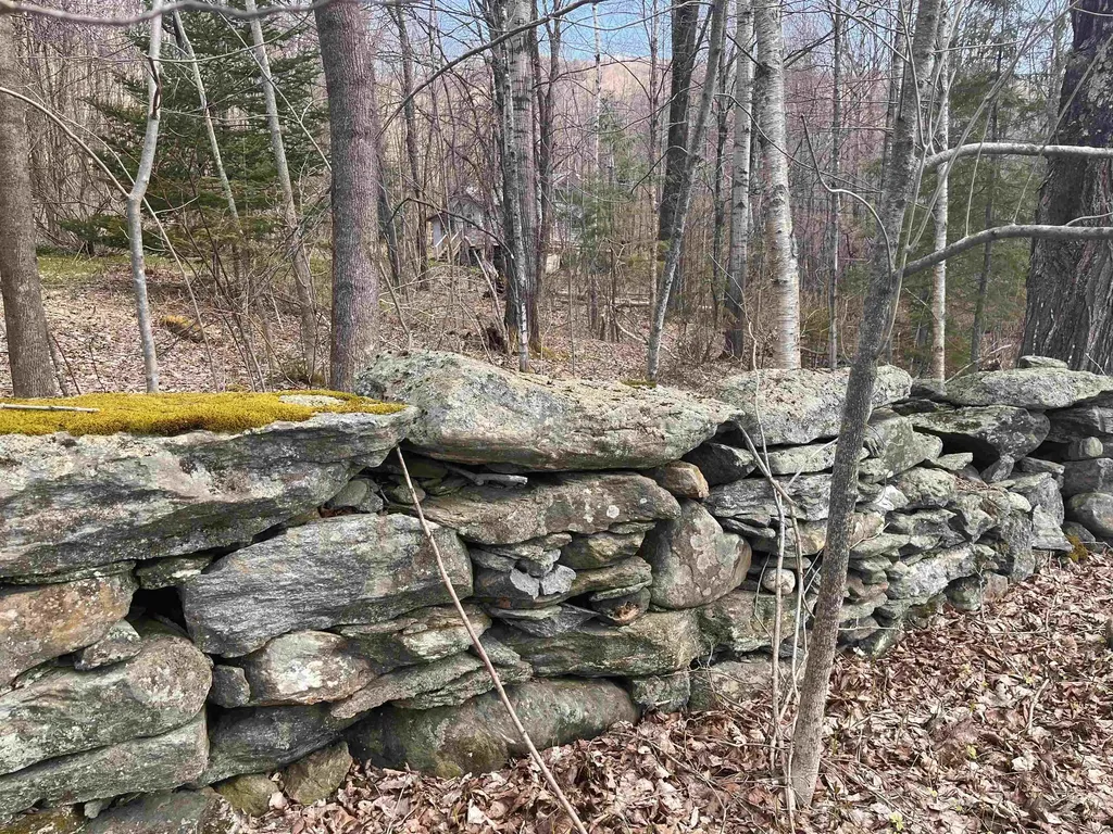 964 Lincoln Gap Road Warren VT 05674