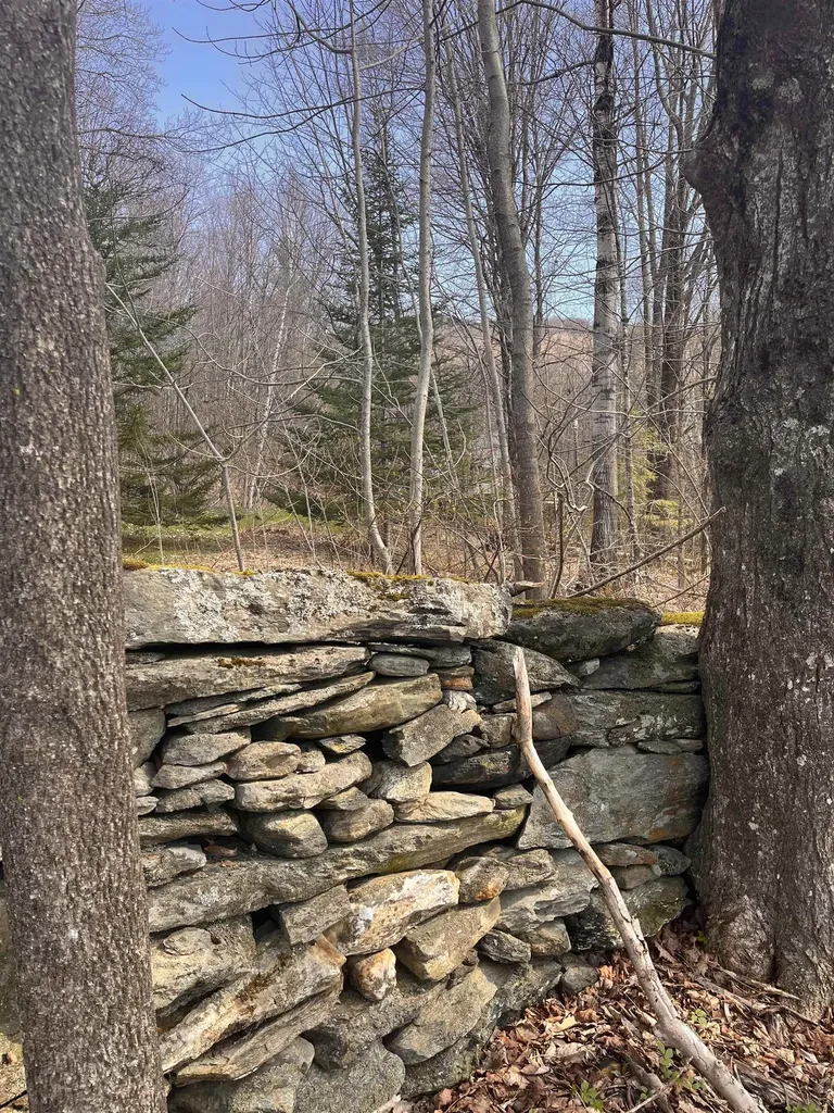 964 Lincoln Gap Road Warren VT 05674