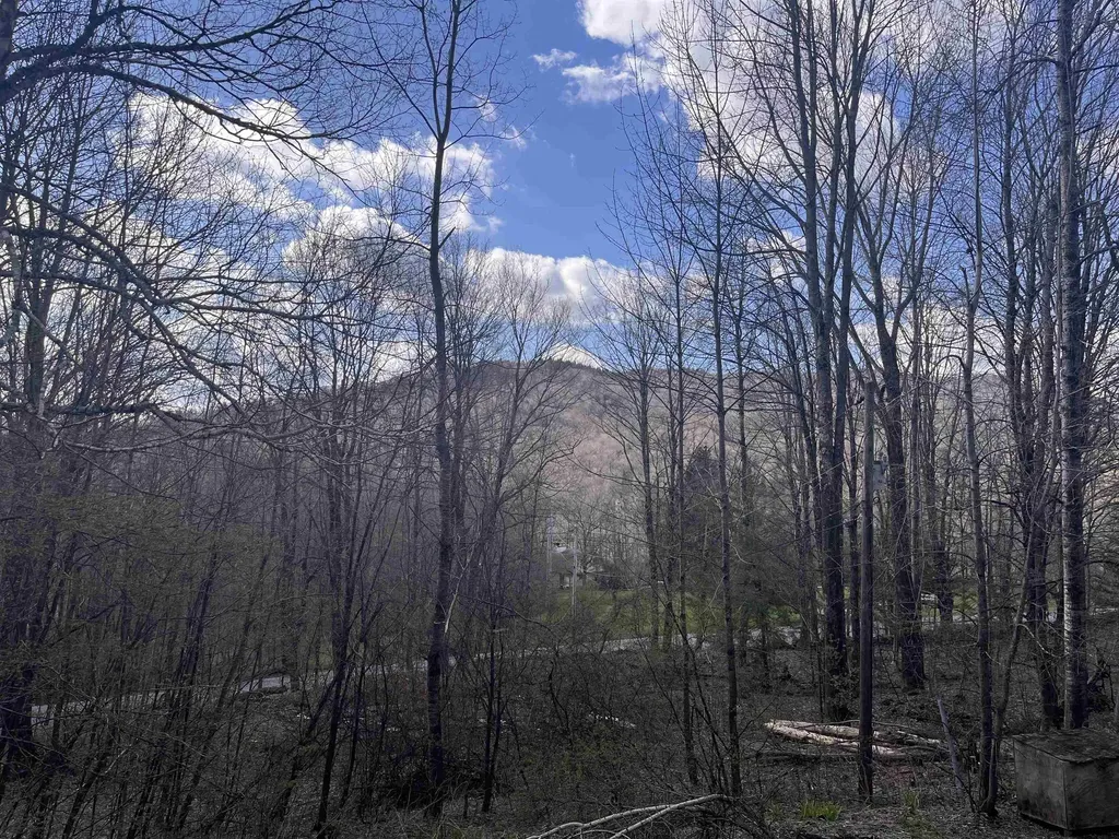 964 Lincoln Gap Road Warren VT 05674