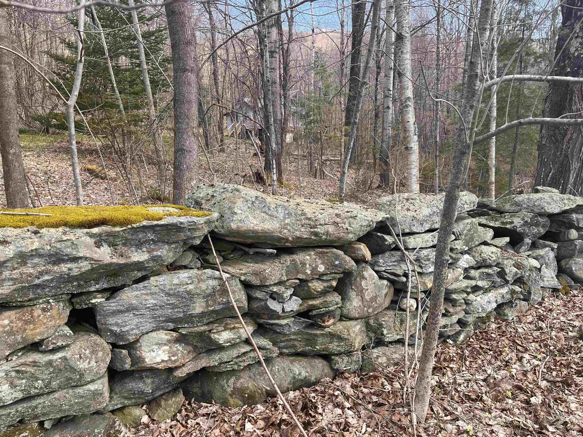 964 Lincoln Gap Road Warren VT 05674