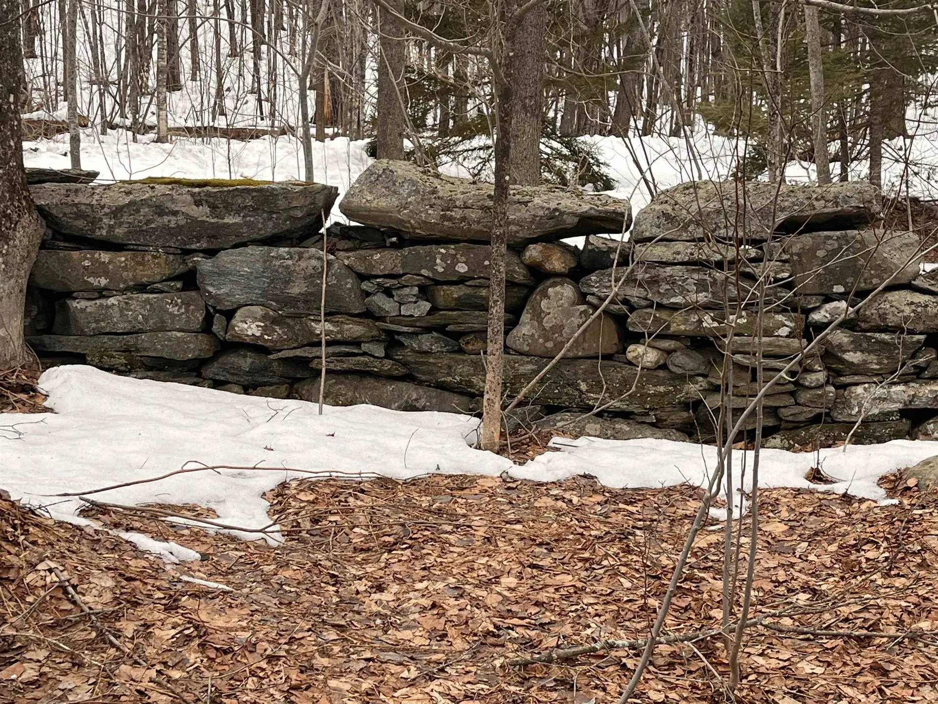 964 Lincoln Gap Road Warren VT 05674