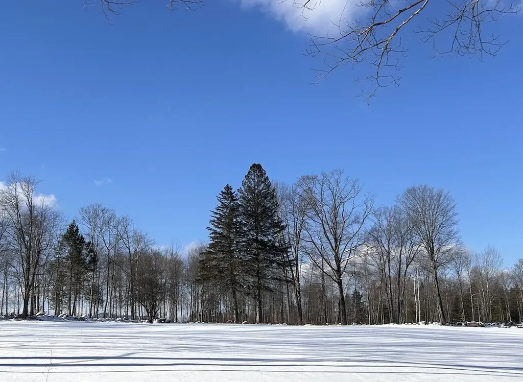 Woodward Hill Road Francestown NH 03043