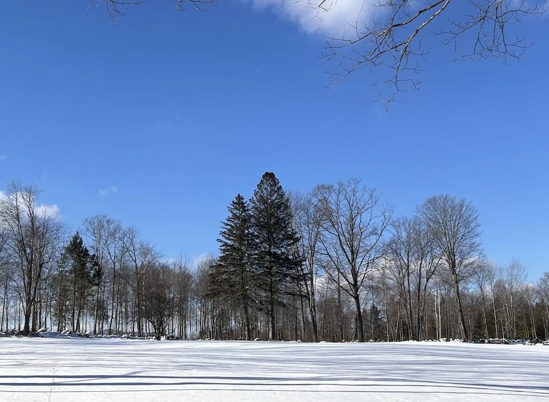 Woodward Hill Road Francestown NH 03043