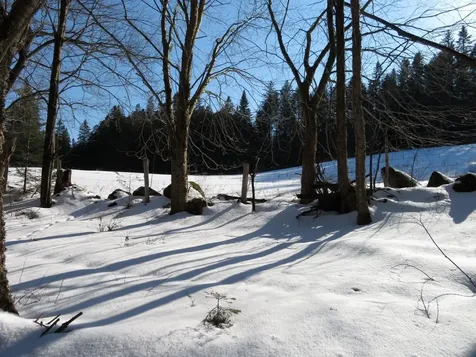 500 Stevenson Road Peacham VT 05862