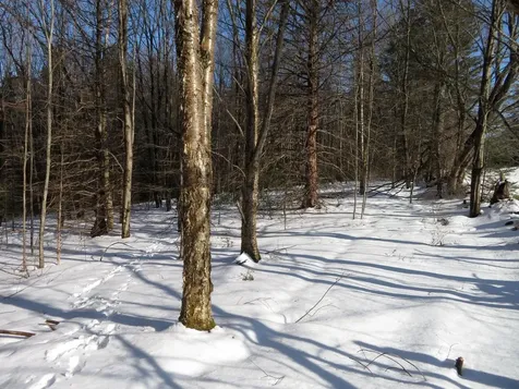 500 Stevenson Road Peacham VT 05862