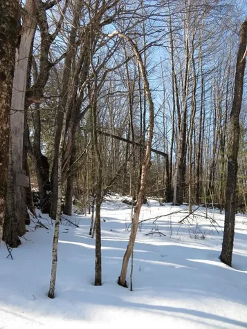 500 Stevenson Road Peacham VT 05862