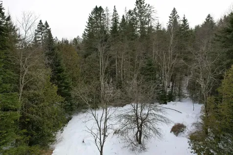 500 Stevenson Road Peacham VT 05862