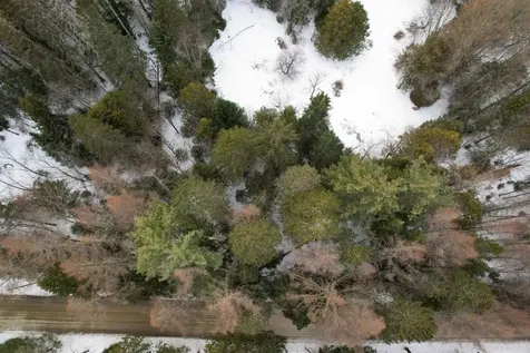 500 Stevenson Road Peacham VT 05862