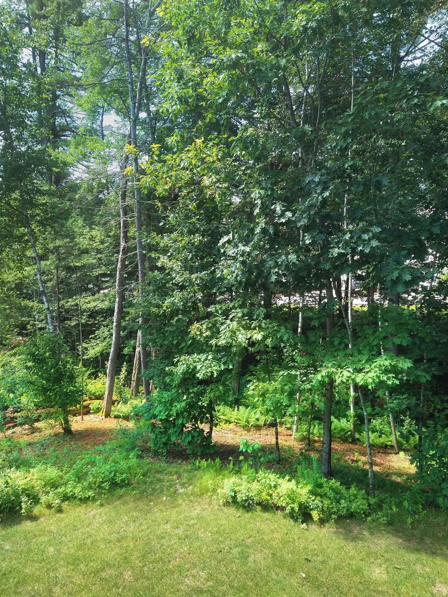 8 Serenity Lane Nashua NH 03062