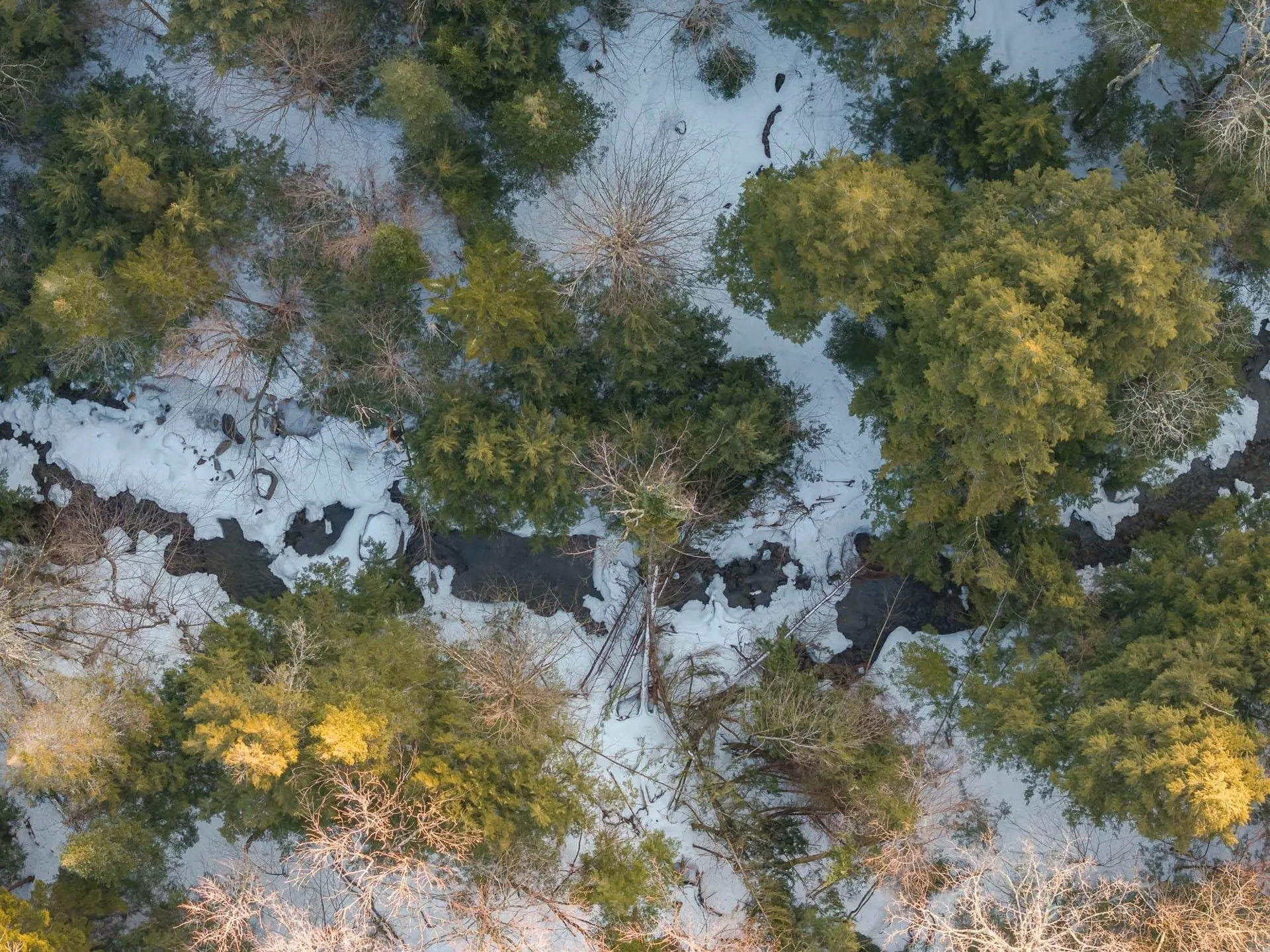 Brookview Lane Wolcott VT 05680