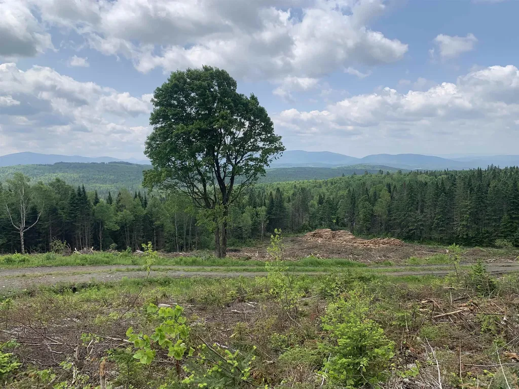 86 & 78 Quimby Road Stewartstown NH 03597