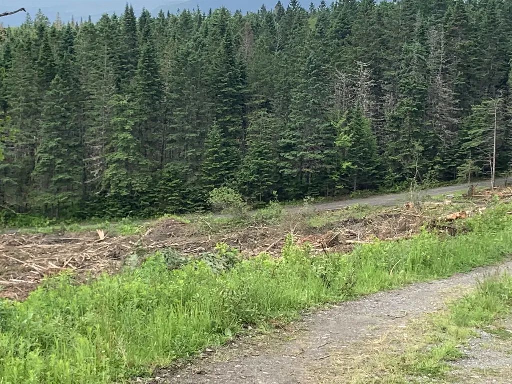 86 & 78 Quimby Road Stewartstown NH 03597