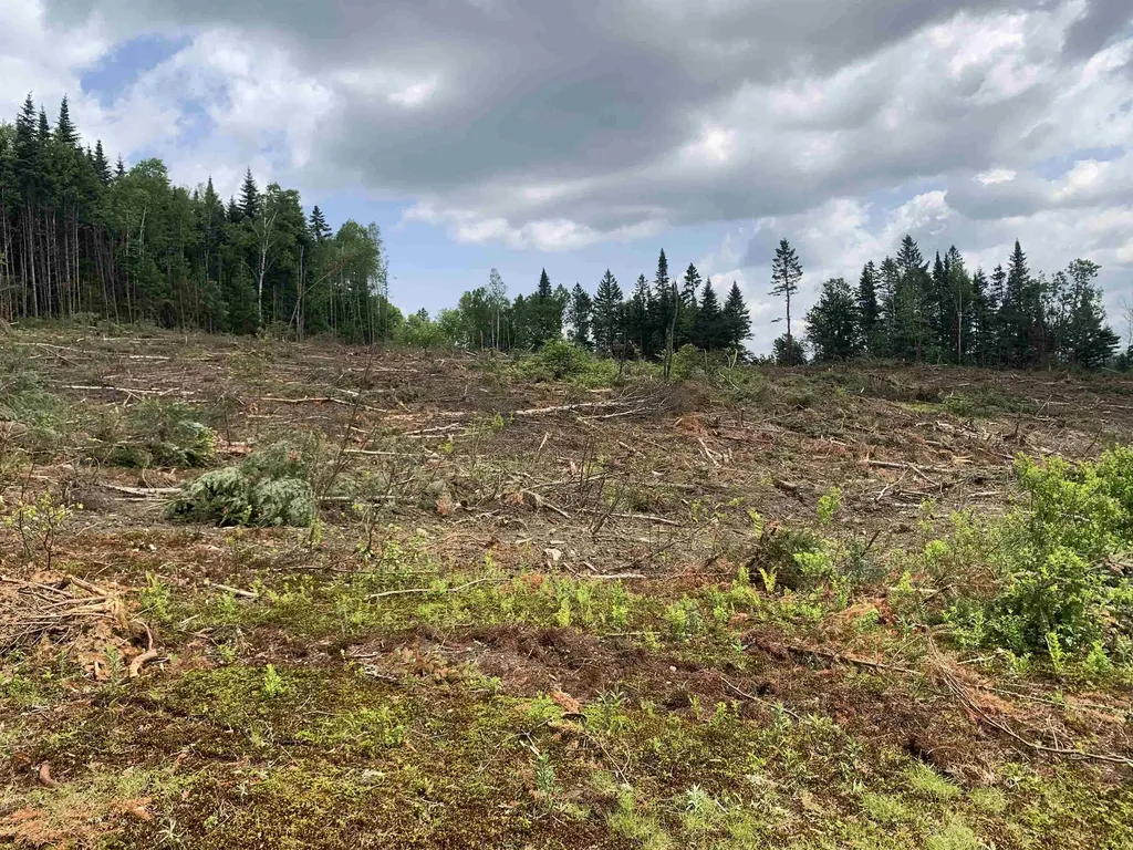 86 & 78 Quimby Road Stewartstown NH 03597