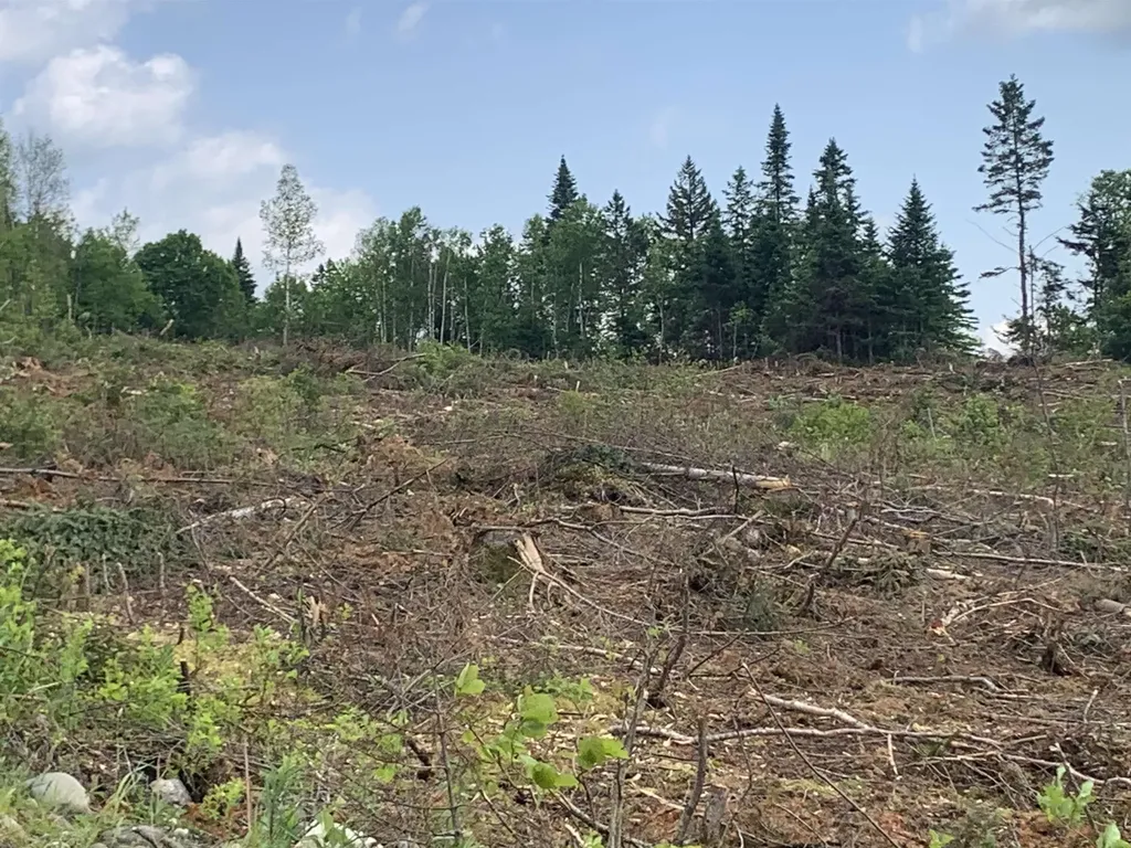 86 & 78 Quimby Road Stewartstown NH 03597